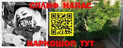 амф Дубна