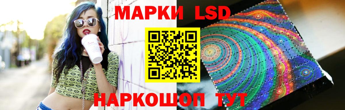 ЛСД экстази ecstasy  ЛСД экстази ecstasy  Курчалой  Вход с VPN 