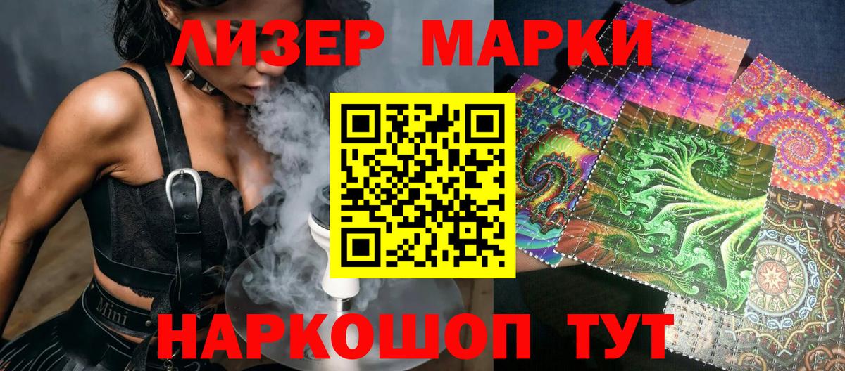 Конопля Курчалой
