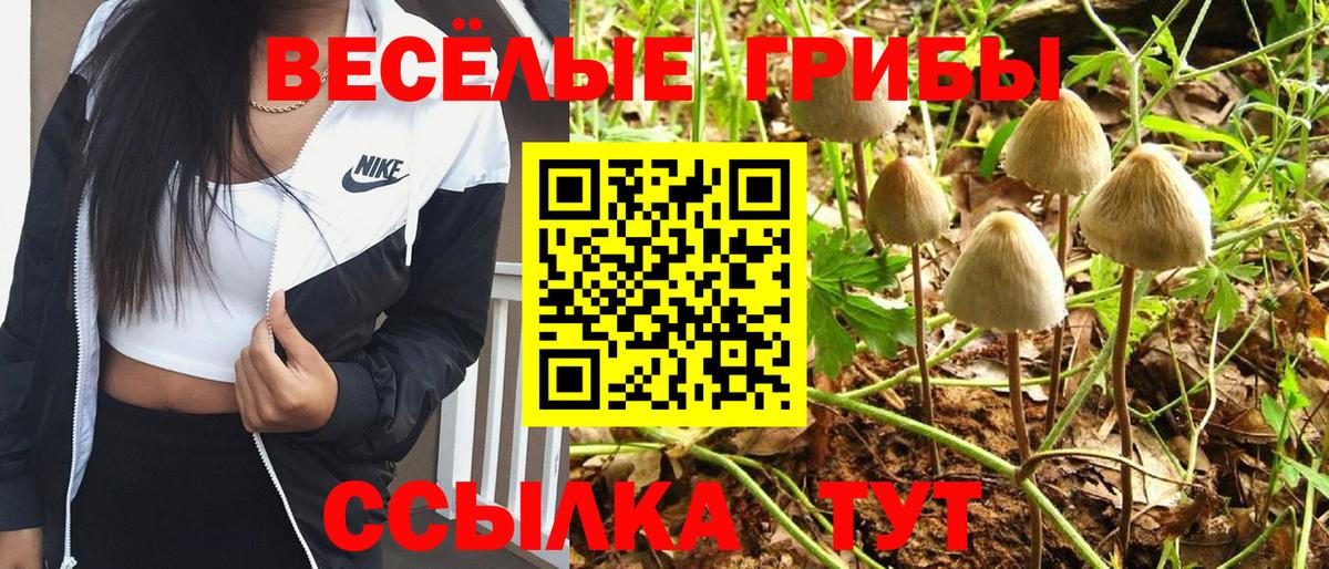 Галлюциногенные грибы MAGIC MUSHROOMS Курчалой