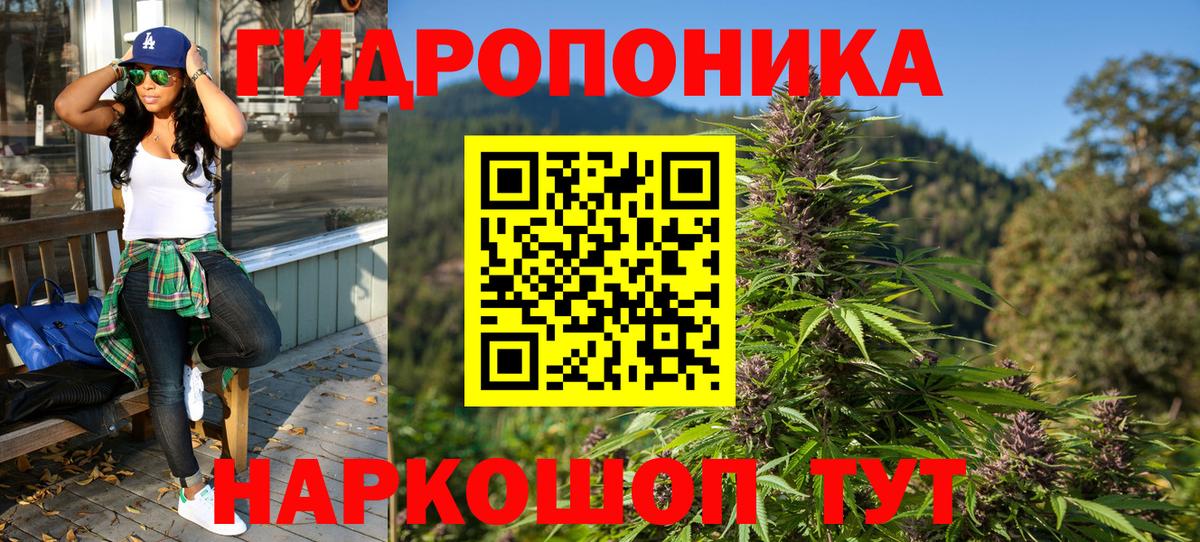 Курчалой  Канабис план  Канабис планчик  Бошки Шишки MAZAR  Бошки Шишки Ganja  Вход с VPN 